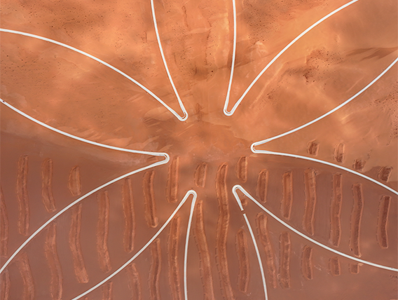 مسار الوردة النجدية 